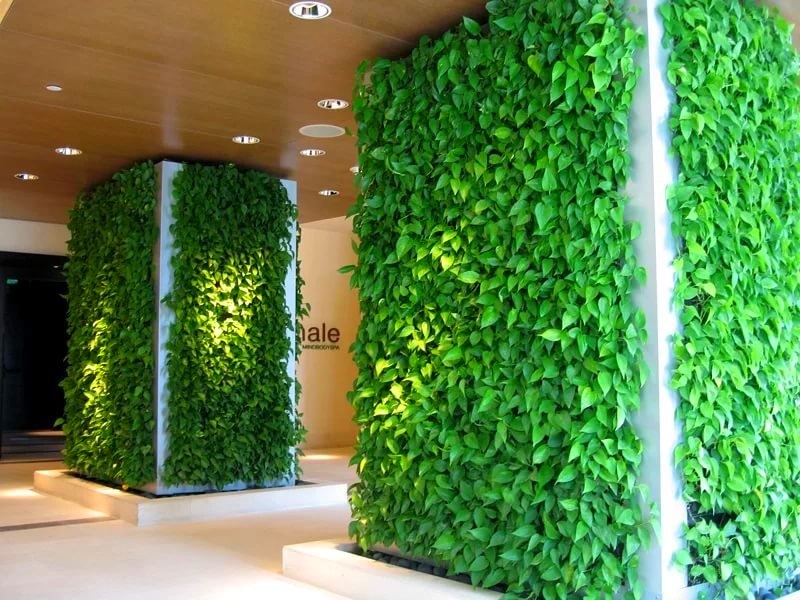 Идея для интерьера: Вертикальное озеленение – шаг к природе от Твинстор - Москва